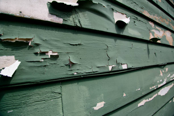 Best Storm Damage Siding Repair  in Homosassa, FL
